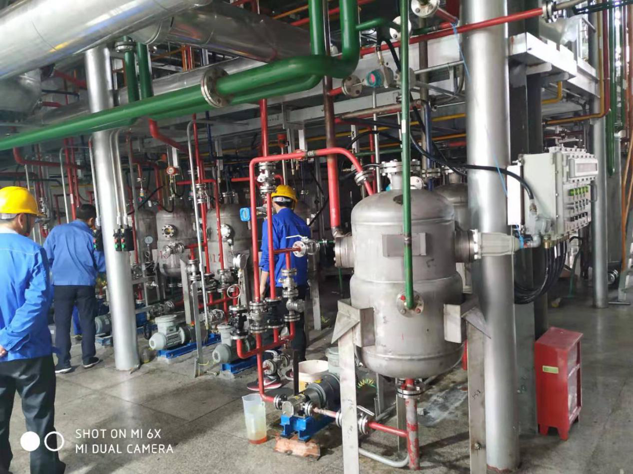 分子蒸馏齿轮泵/植物油精制